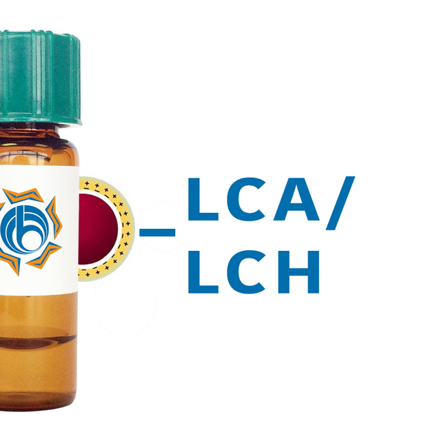 Lens culinaris Lectin (LCA/LCH) - Colloidal Gold