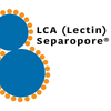 Lens culinaris Lectin (LCA/LCH) - Macrobeads