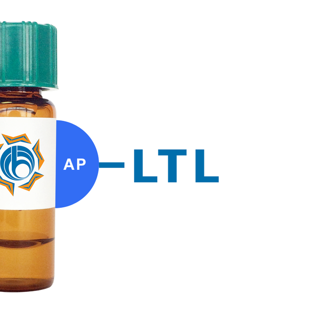 Lotus tetragonolobus Lectin (LTL) - AP (Alkaline Phosphatase)