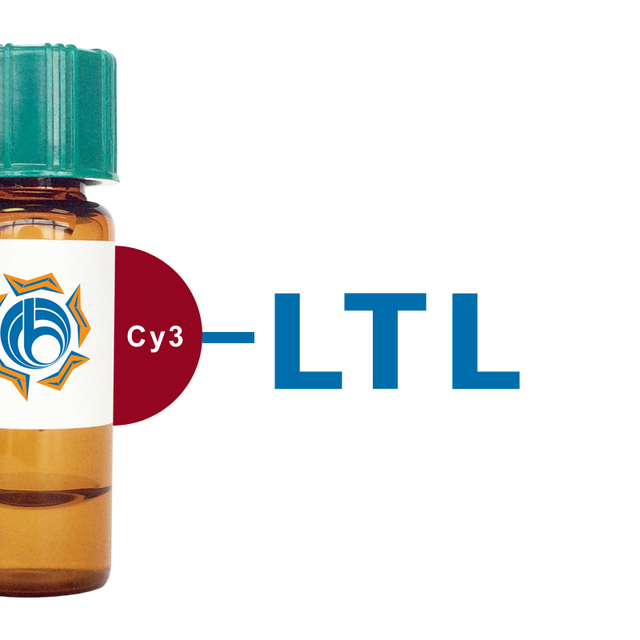 Lotus tetragonolobus Lectin (LTL) - Cy3
