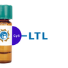 Lotus tetragonolobus Lectin (LTL) - Cy5