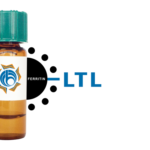 Lotus tetragonolobus Lectin (LTL) - Ferritin