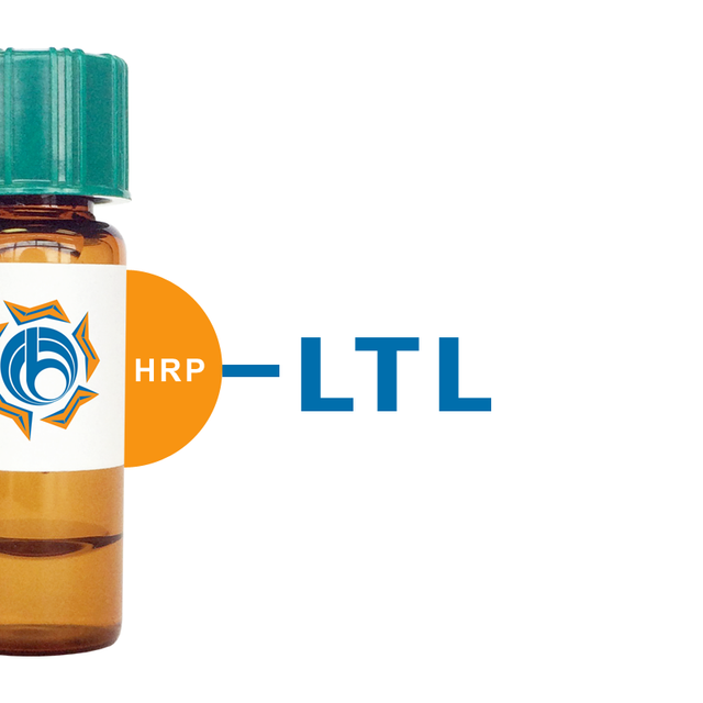 Lotus tetragonolobus Lectin (LTL) - HRP (Horseradish Peroxidase)