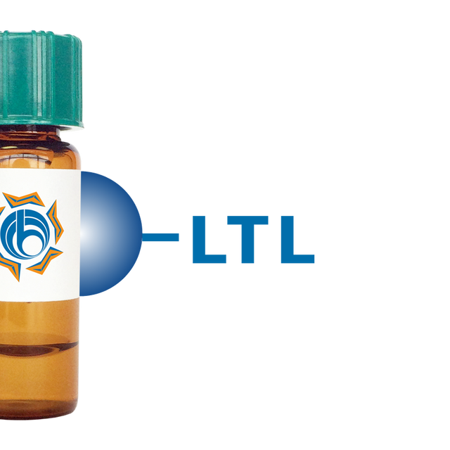Lotus tetragonolobus Lectin (LTL) - Separopore® 4B