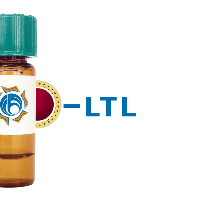 Lotus tetragonolobus Lectin (LTL) - Colloidal Gold
