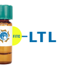 Lotus tetragonolobus Lectin (LTL) - FITC (Fluorescein)