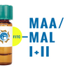 Maackia amurensis Lectin (MAA/MAL I+II) - FITC (Fluorescein)