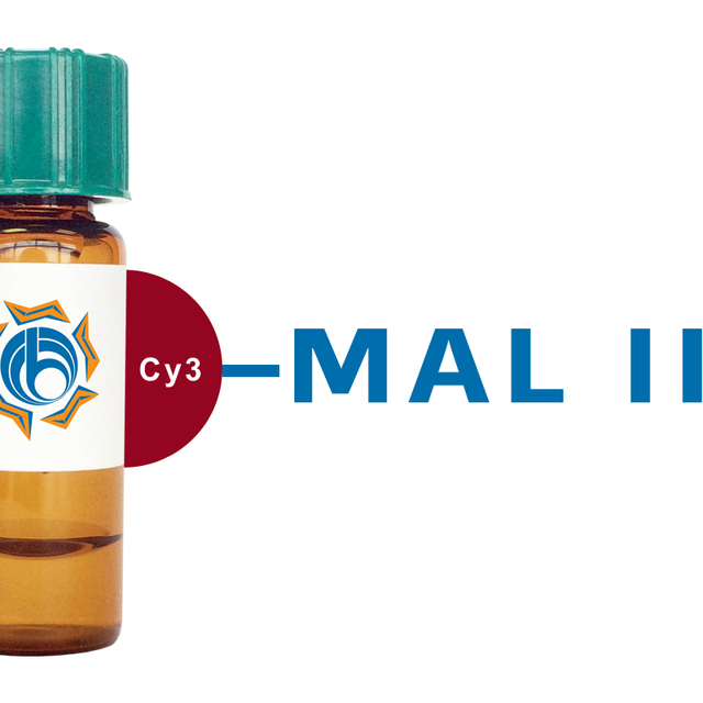 Maackia amurensis Lectin (MAA/MAL II) - Cy3