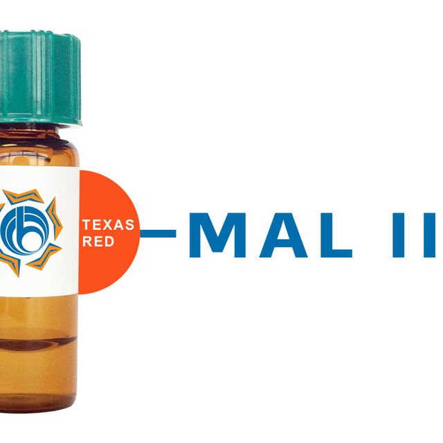 Maackia amurensis Lectin (MAA/MAL II) - Texas Red