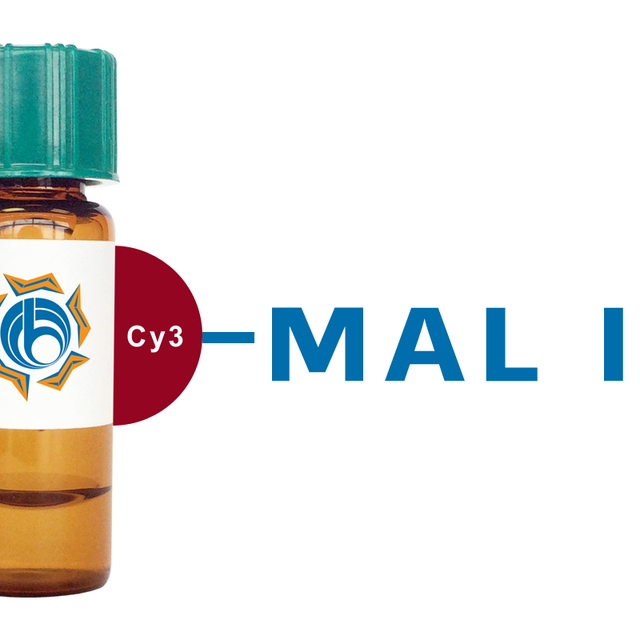 Maackia amurensis Lectin (MAA/MAL I) - Cy3