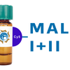 Maackia amurensis Lectin (MAA/MAL I+II) - Cy5