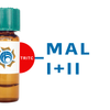 Maackia amurensis Lectin (MAA/MAL I+II) - TRITC (Rhodamine)