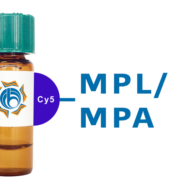 Maclura pomifera Lectin (MPL/MPA) - Cy5