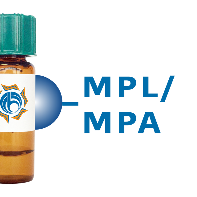 Maclura pomifera Lectin (MPL/MPA) - Separopore® 4B
