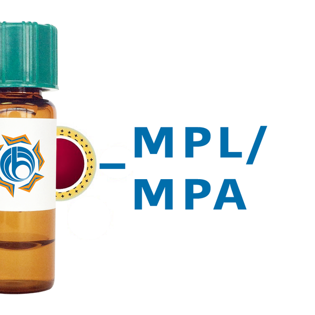 Maclura pomifera Lectin (MPL/MPA) - Colloidal Gold