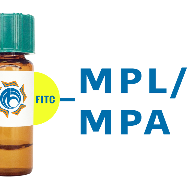 Maclura pomifera Lectin (MPL/MPA) - FITC (Fluorescein)
