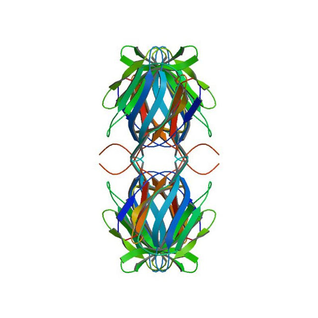 Maclura pomifera Lectin (MPL/MPA) - Semi-Pure