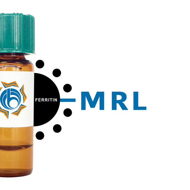 Morus rubra Lectin (MRL) - Ferritin