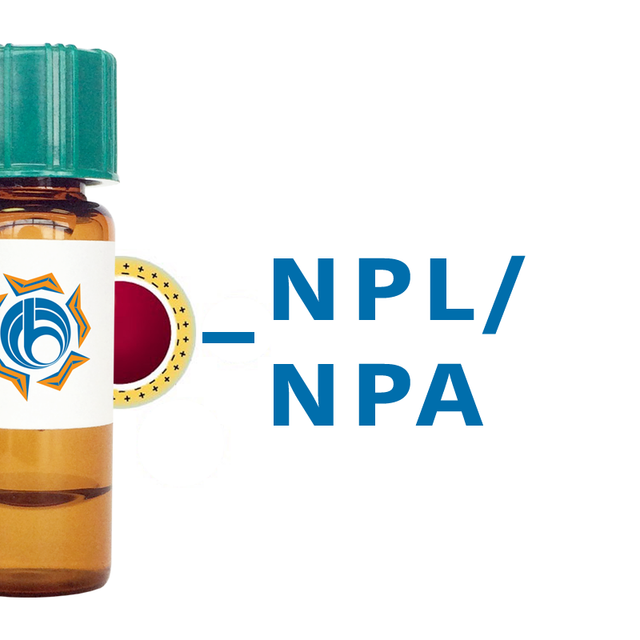 Narcissus pseudonarcissus Lectin (NPL/NPA) - Colloidal Gold