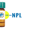 Narcissus pseudonarcissus Lectin (NPL/NPA) - FITC (Fluorescein)