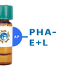 Phaseolus vulgaris Lectin (PHA-E+L) - AP (Alkaline Phosphatase)