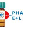 Phaseolus vulgaris Lectin (PHA-E+L) - TRITC (Rhodamine)