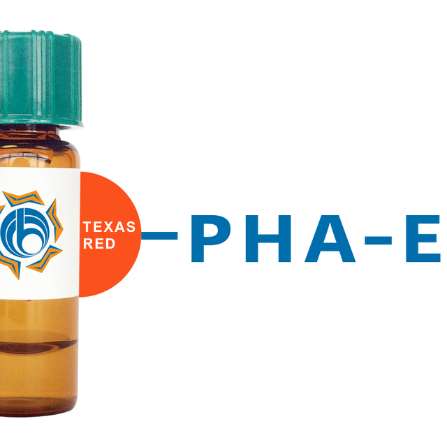 Phaseolus vulgaris Lectin (PHA-E) - Texas Red