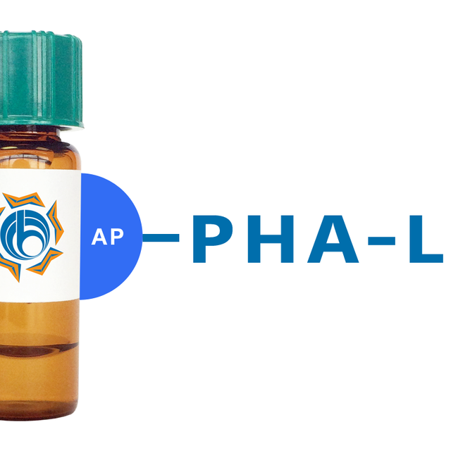 Phaseolus vulgaris Lectin (PHA-L) - AP (Alkaline Phosphatase)