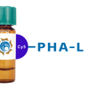 Phaseolus vulgaris Lectin (PHA-L) - Cy5