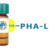 Phaseolus vulgaris Lectin (PHA-L) - FITC (Fluorescein)