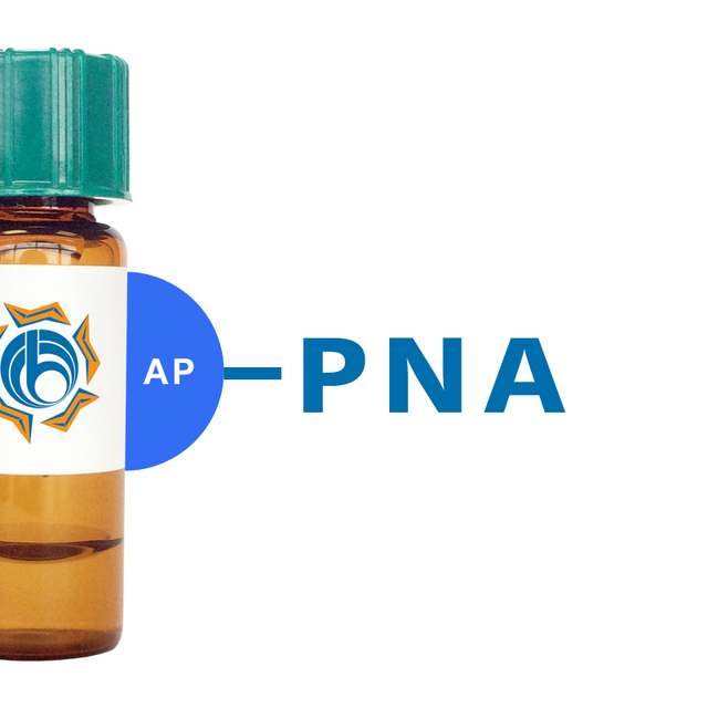 Arachis hypogaea Lectin (PNA) - AP (Alkaline Phosphatase)