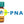 Arachis hypogaea Lectin (PNA) - FITC (Fluorescein)