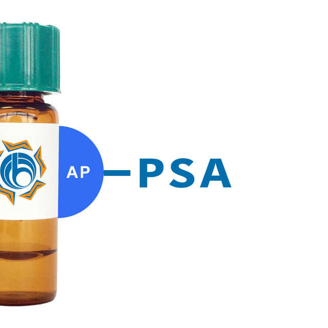 Pisum sativum Lectin (PSA/PSL) - AP (Alkaline Phosphatase)