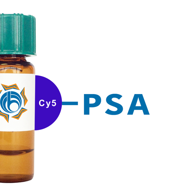 Pisum sativum Lectin (PSA/PSL) - Cy5