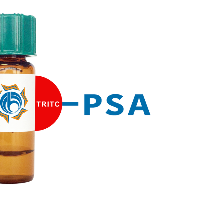 Pisum sativum Lectin (PSA/PSL) - TRITC (Rhodamine)