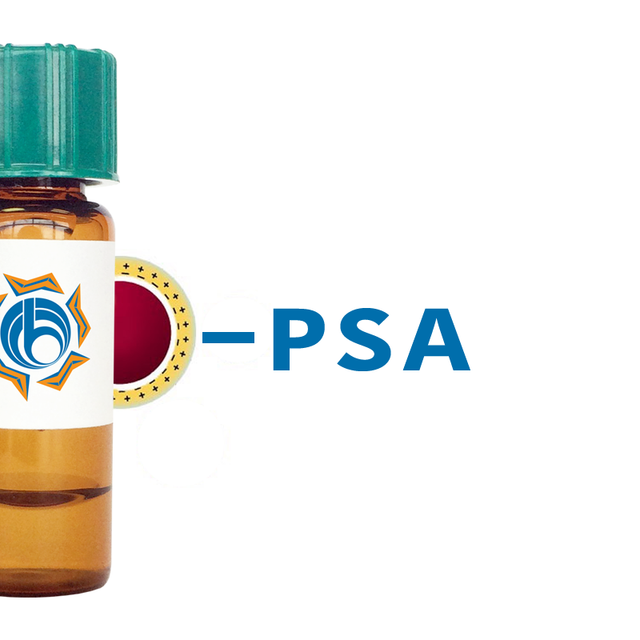 Pisum sativum Lectin (PSA/PSL) - Colloidal Gold