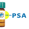 Pisum sativum Lectin (PSA/PSL) - FITC (Fluorescein)