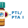 Psophocarpus tetragonolobus Lectin (PTL/PTA I) - Colloidal Gold