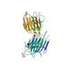 Psophocarpus tetragonolobus Lectin (PTL/PTA I) - Semi-Pure