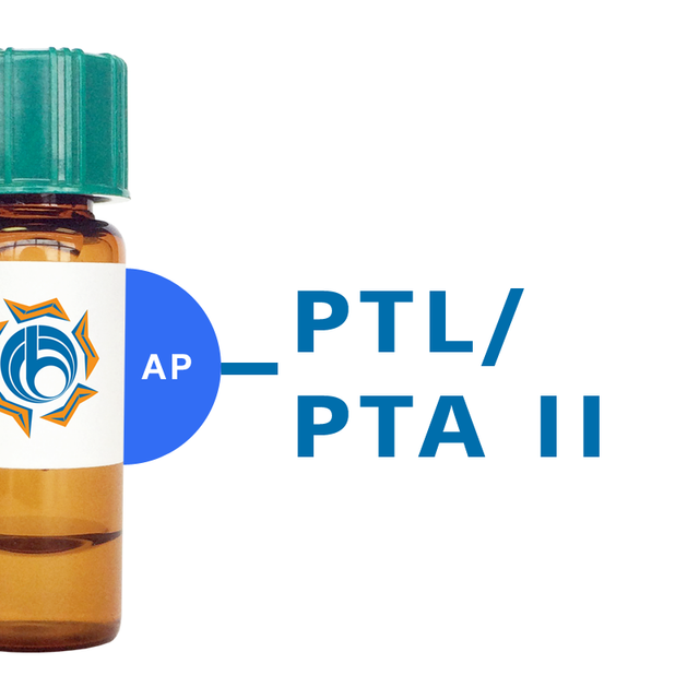 Psophocarpus tetragonolobus Lectin (PTL/PTA II) - AP (Alkaline Phosphatase)