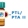 Psophocarpus tetragonolobus Lectin (PTL/PTA II) - Colloidal Gold