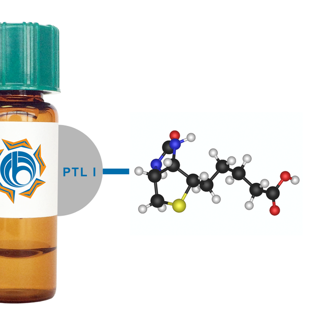 Psophocarpus tetragonolobus Lectin (PTL/PTA I) - Biotinylated