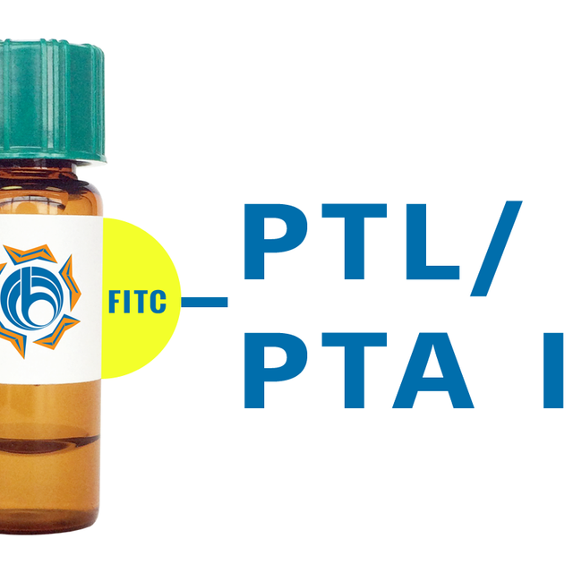Psophocarpus tetragonolobus Lectin (PTL/PTA I) - FITC (Fluorescein)