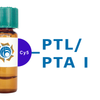 Psophocarpus tetragonolobus Lectin (PTL/PTA I) - Cy5