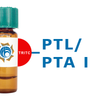 Psophocarpus tetragonolobus Lectin (PTL/PTA I) - TRITC (Rhodamine)