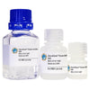 GlycoElute Elution Buffer - SBA