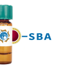 Arachis hypogaea Lectin (PNA) - Colloidal Gold