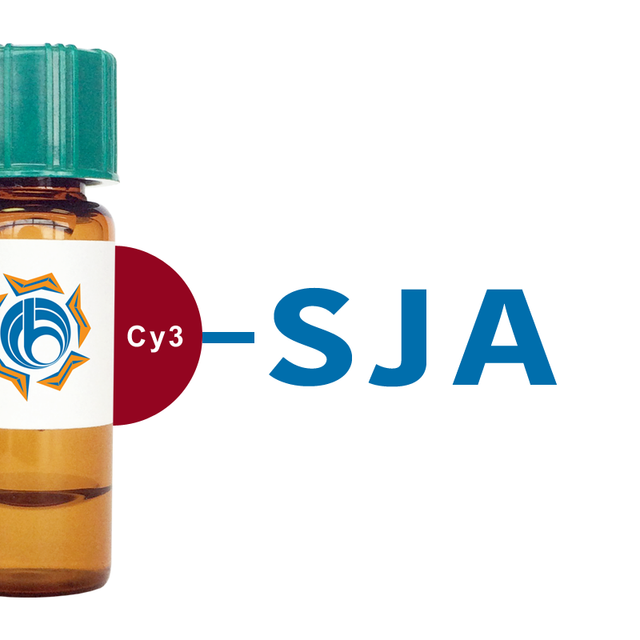 Styphnolobium japonicum Lectin (SJA) - Cy3