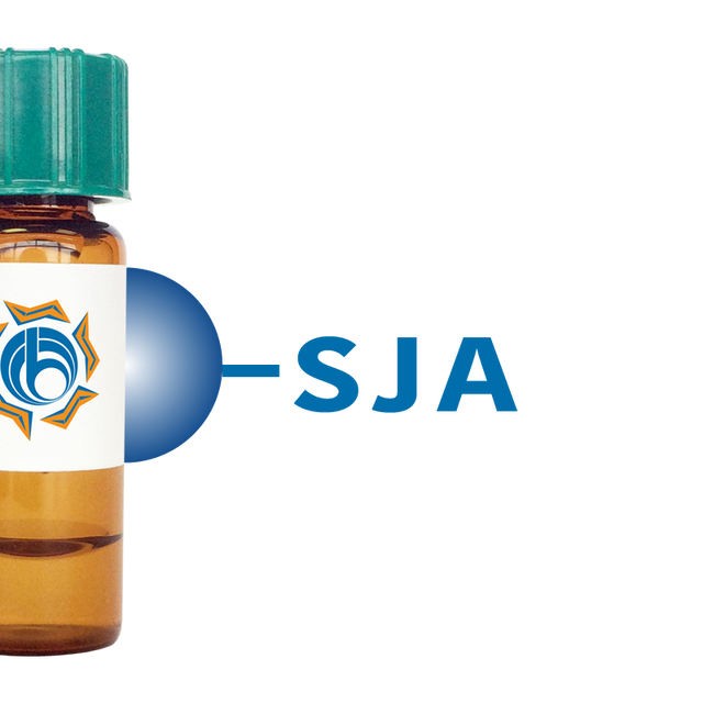 Styphnolobium japonicum Lectin (SJA) - Separopore® 4B