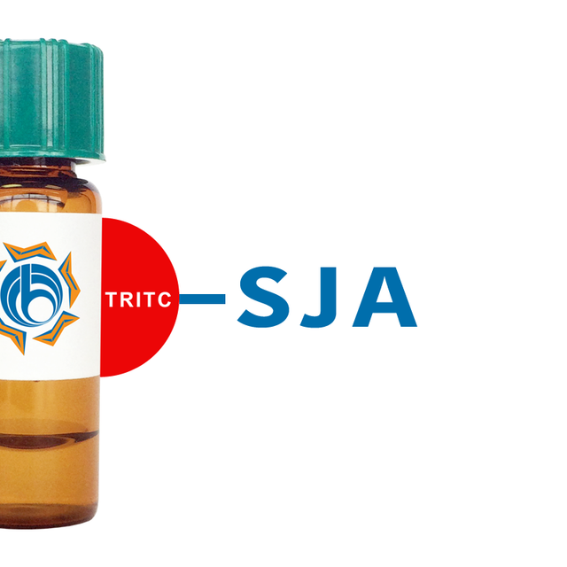 Styphnolobium japonicum Lectin (SJA) - TRITC (Rhodamine)